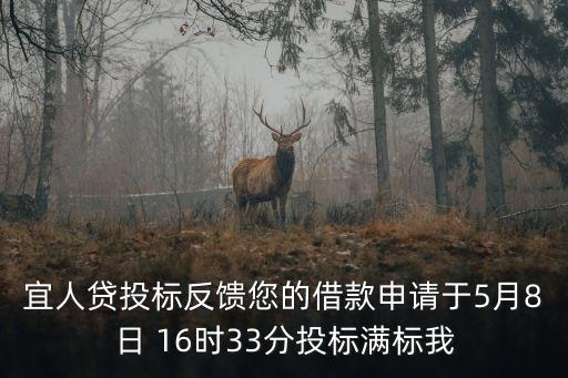 宜人貸投標(biāo)反饋您的借款申請(qǐng)于5月8日 16時(shí)33分投標(biāo)滿(mǎn)標(biāo)我