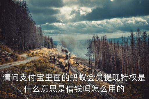 螞蟻會員怎么提現(xiàn)額度是多少，螞蟻會員我現(xiàn)在是零積分是不是可以提現(xiàn)一萬