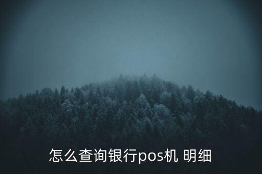怎么查詢銀行pos機 明細(xì)