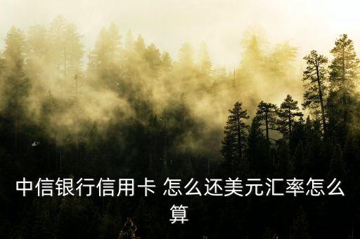 中信銀行信用卡 怎么還美元匯率怎么算