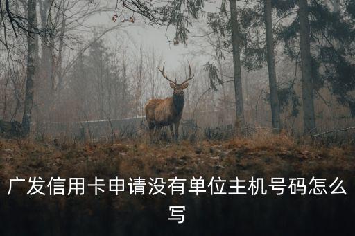 單位電話沒有怎么填寫，廣發(fā)信用卡申請沒有單位主機(jī)號碼怎么寫