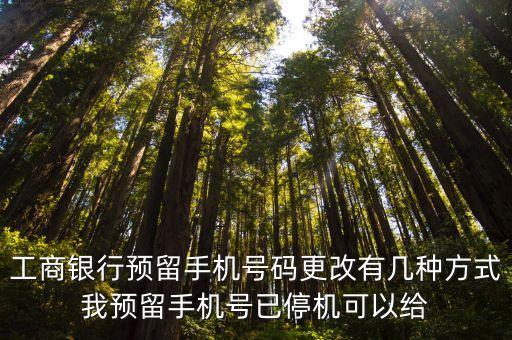 工商銀行預(yù)留手機(jī)號(hào)碼更改有幾種方式我預(yù)留手機(jī)號(hào)已停機(jī)可以給