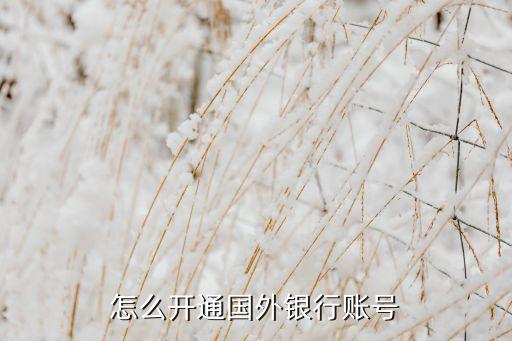 海外賬戶怎么辦理，怎么開通國外銀行賬號