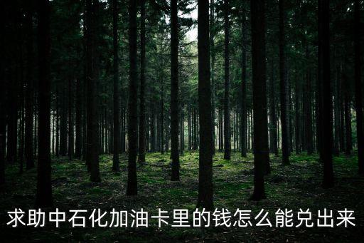 求助中石化加油卡里的錢怎么能兌出來