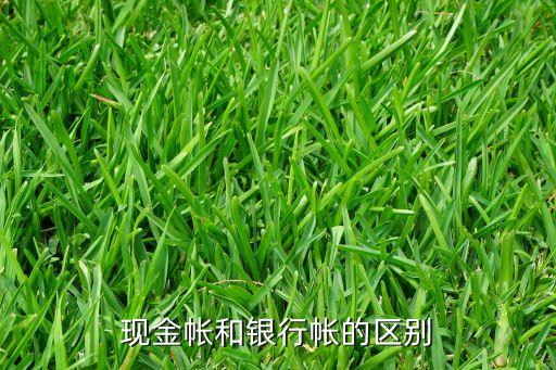 現(xiàn)金帳和銀行帳的區(qū)別