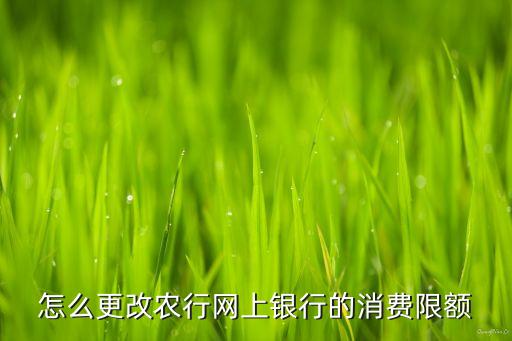 農(nóng)信的卡怎么網(wǎng)上轉(zhuǎn)賬限額，農(nóng)行網(wǎng)上銀行怎么設(shè)置轉(zhuǎn)賬額度