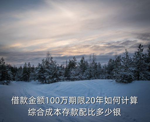 借款金額100萬期限20年如何計算綜合成本存款配比多少銀