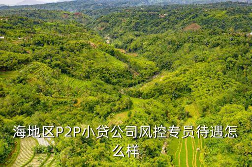 海地區(qū)P2P小貸公司風(fēng)控專(zhuān)員待遇怎么樣