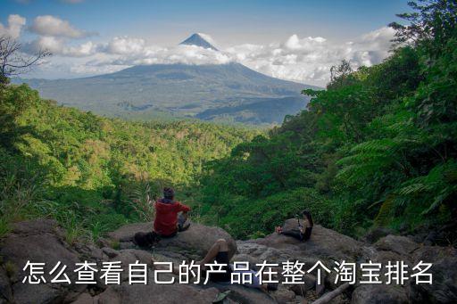 怎么查看自己的產(chǎn)品在整個(gè)淘寶排名