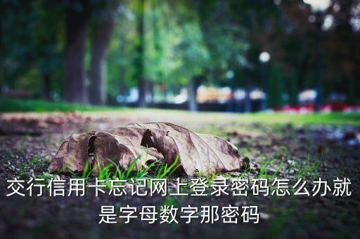 交行信用卡中心官網(wǎng)登陸密碼忘了怎么辦，交通銀行信用卡登陸密碼忘了