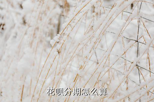 花唄三百多分期怎么分，花唄分期300分12期每一期要還多少我把第一期還了第二期把剩下的