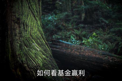 如何看基金贏利
