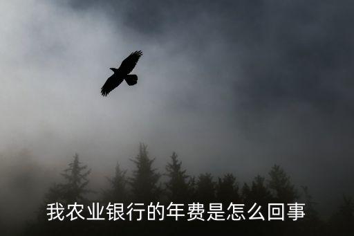 農行怎么還有年費，農行為什么要扣卡年費