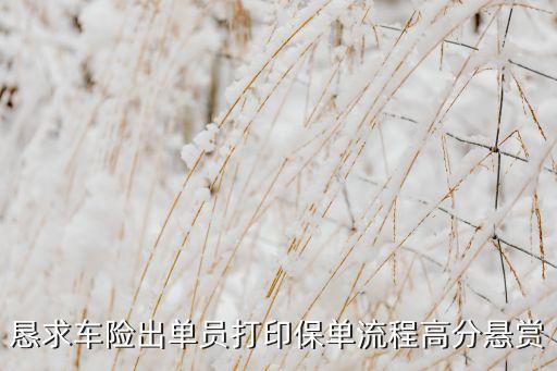 車險(xiǎn)保單怎么打印，保單在那里打印