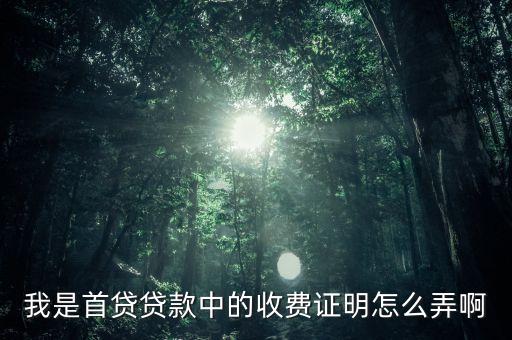 我是首貸貸款中的收費證明怎么弄啊