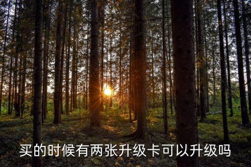 買的時(shí)候有兩張升級(jí)卡可以升級(jí)嗎