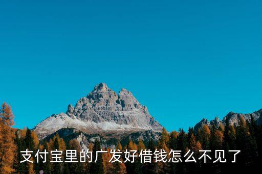 支付寶里的廣發(fā)好借錢怎么不見了