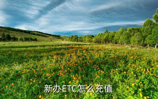中信etc怎么充值，ETC怎么充值