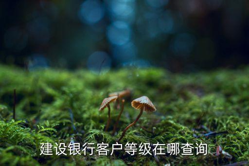 建設(shè)銀行客戶等級在哪查詢