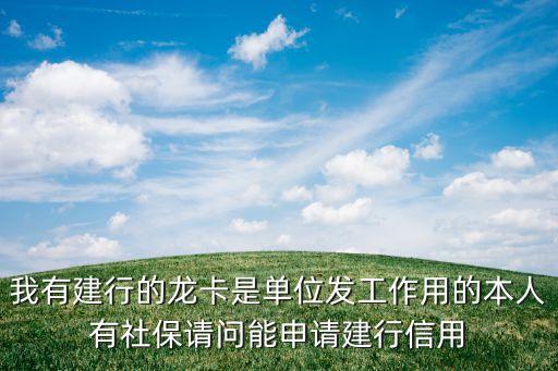 我有建行的龍卡是單位發(fā)工作用的本人有社保請(qǐng)問能申請(qǐng)建行信用