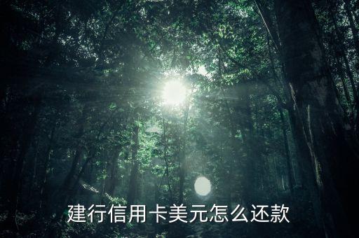 建行龍卡美金怎么還款，建行信用卡刷的美元怎么還款呢