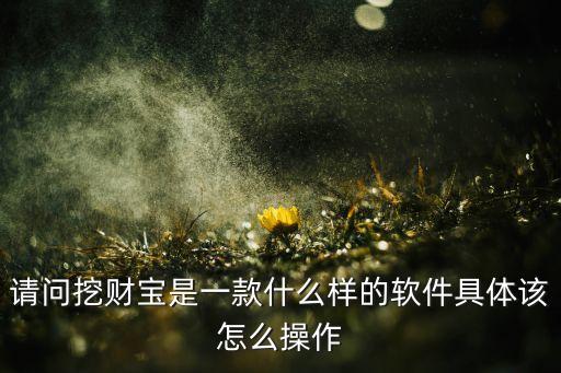 挖財寶怎么賺錢，請問挖財寶是一款什么樣的軟件具體該怎么操作