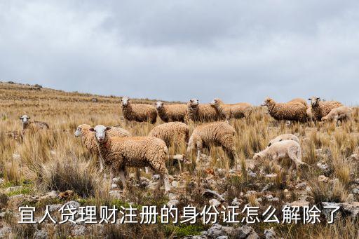 宜人貸理財注冊的身份證怎么解除了