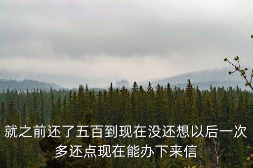 網(wǎng)貸款的還不上怎么辦理信用卡，以卡辦卡是怎么辦下來(lái)的欠有網(wǎng)上的小額貸款未還能辦第二張信用