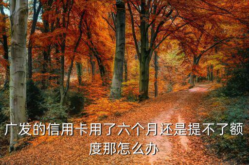 廣發(fā)的信用卡用了六個(gè)月還是提不了額度那怎么辦
