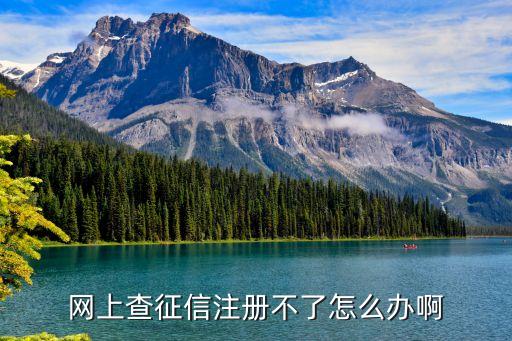 征信網(wǎng)怎么注冊(cè)不了怎么辦，征信注冊(cè)不了怎么辦