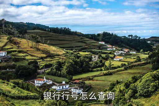 銀行卡的行號(hào)怎么查詢(xún)系統(tǒng)，銀行聯(lián)行號(hào)是用什么查詢(xún)系統(tǒng)