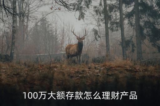 100萬(wàn)大額存款怎么理財(cái)產(chǎn)品