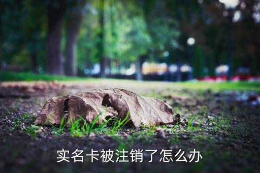 實(shí)名卡被注銷了怎么辦