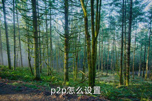 網(wǎng)上p2p怎么做，P2P具體流程是怎么個(gè)情況啊