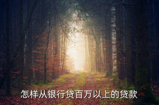 個(gè)人貸款100萬怎么貸，怎么才能獲得100萬貸款
