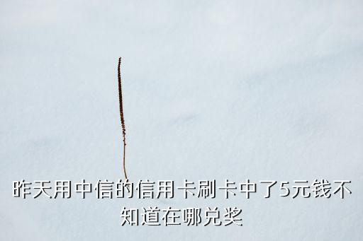 昨天用中信的信用卡刷卡中了5元錢不知道在哪兌獎(jiǎng)
