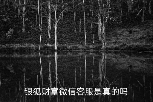 銀狐財富這個平臺怎么樣，銀狐平臺怎么樣