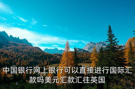 中國銀行網(wǎng)上銀行可以直接進行國際匯款嗎美元匯款匯往英國