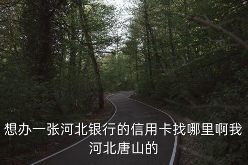 想辦一張河北銀行的信用卡找哪里啊我河北唐山的