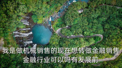 我是做機(jī)械銷售的現(xiàn)在想轉(zhuǎn)做金融銷售金融行業(yè)可以嗎有發(fā)展前