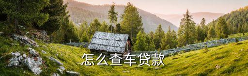 怎么查車貸款