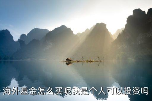 海外基金怎么買呢我是個(gè)人可以投資嗎