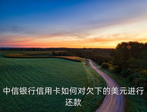 中信銀行美金怎么還，中信銀行信用卡如何對欠下的美元進(jìn)行還款