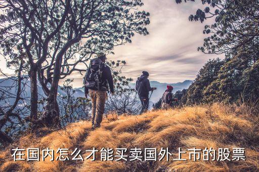 怎么購買國外的股票，怎么樣才能買外國公司的股票