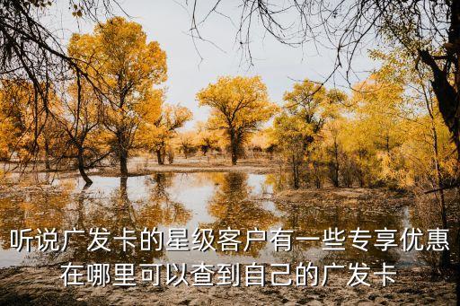 聽說廣發(fā)卡的星級(jí)客戶有一些專享優(yōu)惠在哪里可以查到自己的廣發(fā)卡