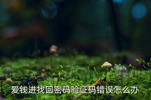 愛錢進(jìn)找回密碼驗證碼錯誤怎么辦