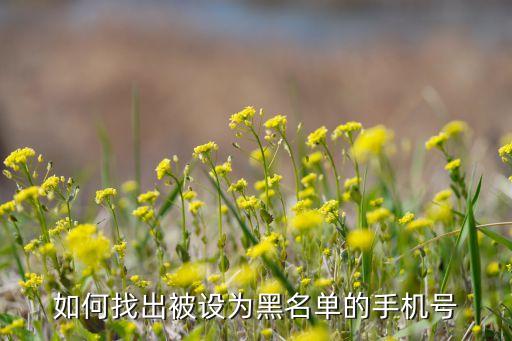 如何找出被設(shè)為黑名單的手機(jī)號(hào)