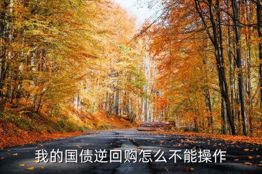 逆向回購怎么買不了，無法購買逆回購提示未開通M權(quán)限