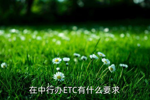 在中行辦ETC有什么要求
