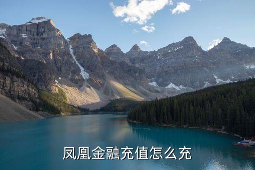 鳳凰金融怎么不能充值，鳳凰金融充值怎么充